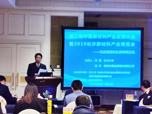 第二届中国新材料产业发展大会暨2019长沙国际新材料产业博览会先进高强热轧板带钢论坛会议召开 新材料技术研发的深度聚焦与产业协同