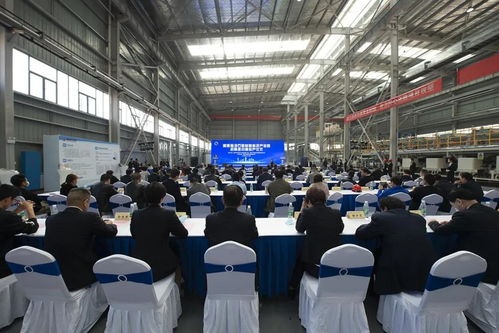 湘潭海泡石新材料科技产业园招商签约暨投产仪式圆满举行，新材料技术研发迈入新阶段